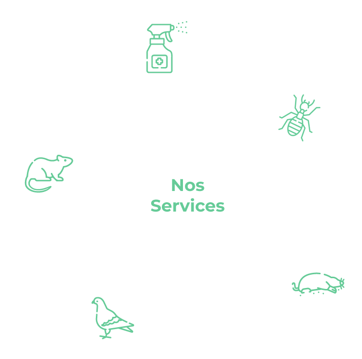 Nocivis91 Services